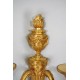 Appliques style Louis XVI bronze doré